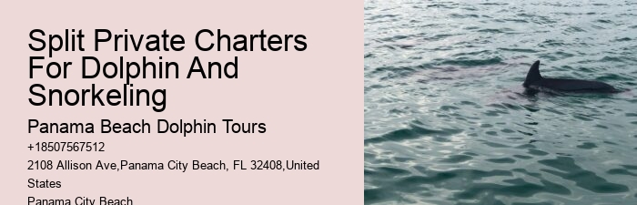 Dolphin Boat Tours Panama City Beach