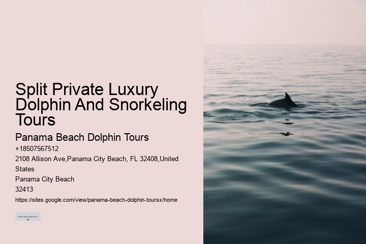 Dolphin And Snorkeling Tours In Panama City Beach