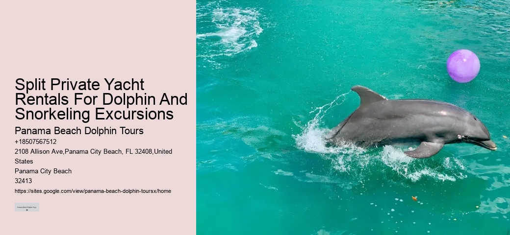 Split Private Yacht Rentals For Dolphin And Snorkeling Excursions