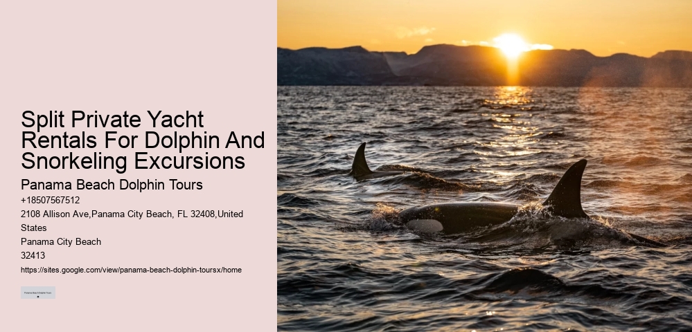 PCB Dolphin Discovery Cruises