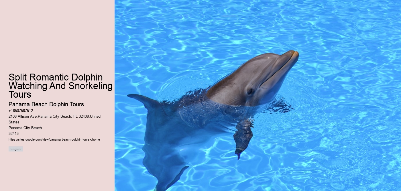 Split Romantic Dolphin Watching And Snorkeling Tours