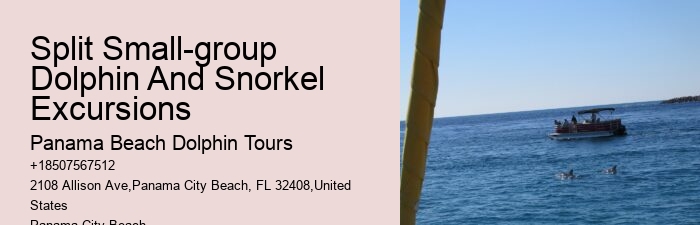 What is the average group size on a dolphin tour in Panama City Beach