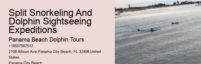 Split Expert-led Snorkeling And Dolphin Expeditions