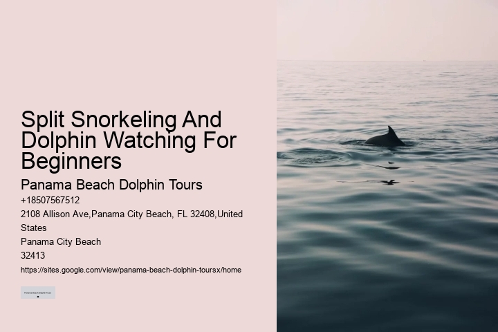 Split Charter Dolphin Snorkeling Tours