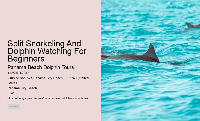 Custom Dolphin Encounter and Snorkeling