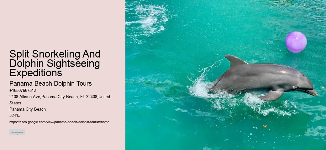 Split Snorkeling And Dolphin Sightseeing Expeditions