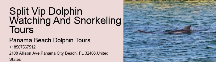 Jet Ski Dolphin Tours Near Me