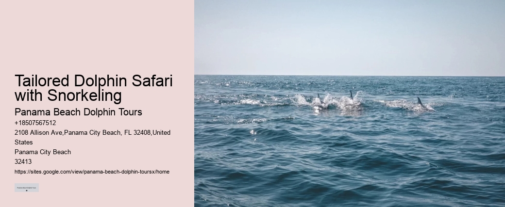 Luxury Dolphin Watching and Snorkeling Excursions