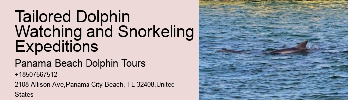 Dolphin Snorkeling Cruise