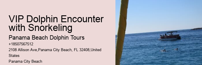 Panama City Beach dolphin exploration voyages