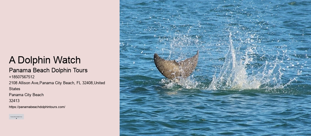Panama City Beach marine life tours