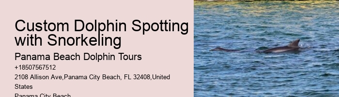 What Is The Best Time To See Dolphins In Panama City Beach