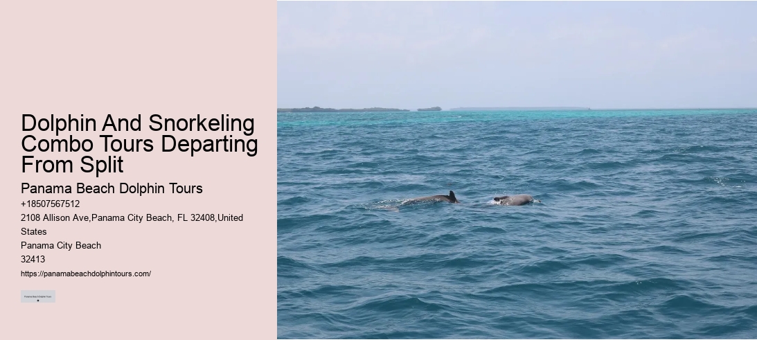 Dolphin And Snorkeling Combo Tours Departing From Split