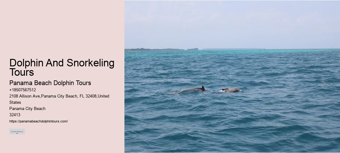 Dolphin And Snorkeling Tours