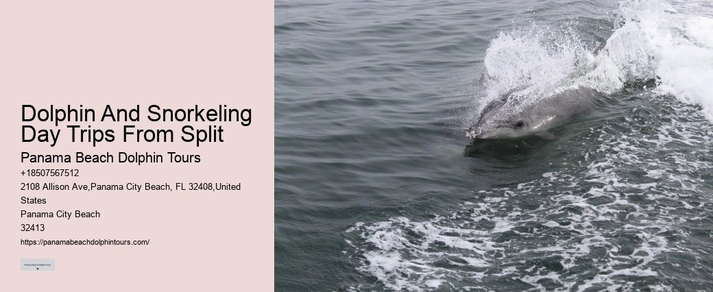 With Dolphins