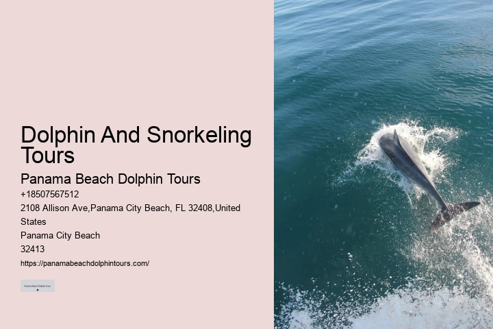 Will Dolphins Let You Touch Them