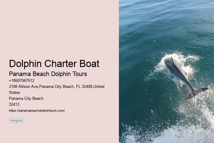 Can I book a private dolphin tour in Panama City Beach