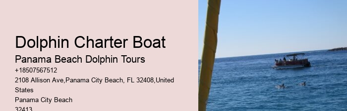 Split Expert-guided Snorkeling And Dolphin Adventures