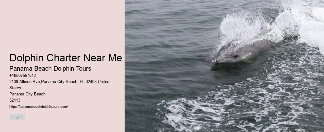 Private Dolphin Tours Orange Beach