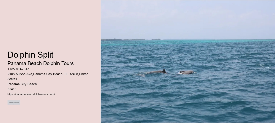 Dolphin Split