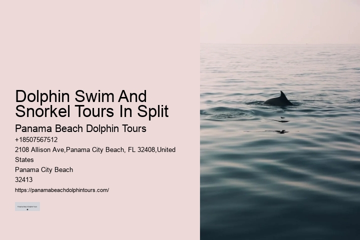 Dolphin And Snorkeling Tours
