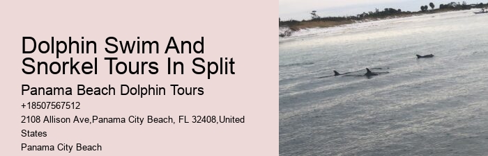 Dolphin Adventure Tours PCB