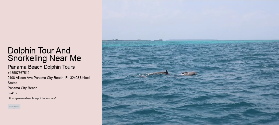Dolphin Tour And Snorkeling Near Me