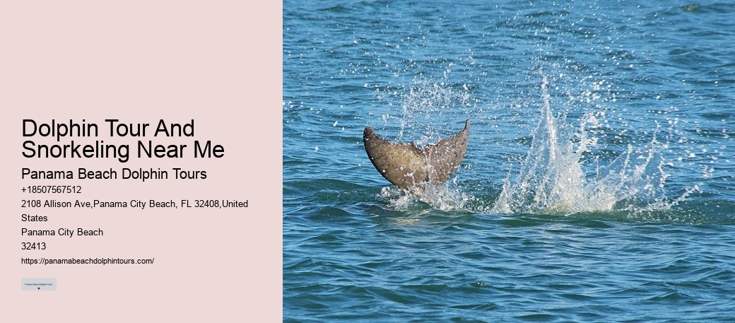 Are there any restrictions on interactions with dolphins during the tours in Panama City Beach