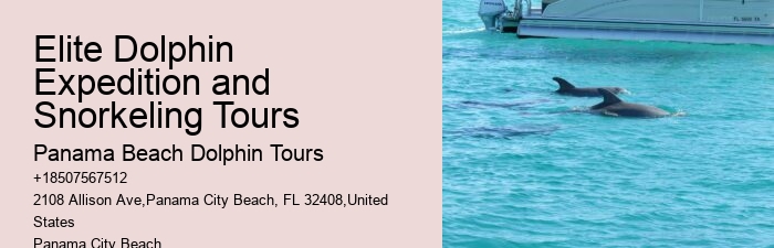 Are there any hidden fees associated with the dolphin tours