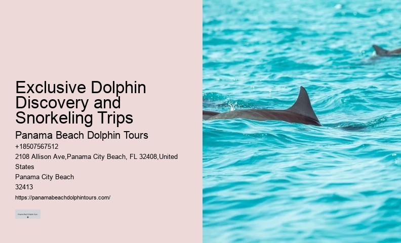 Dolphin Tour And Snorkeling Near Me
