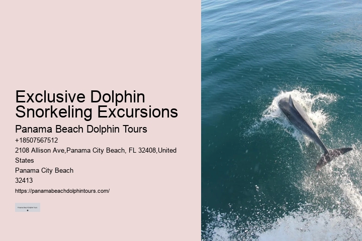 Dolphin And Snorkeling Tours Panama City Beach