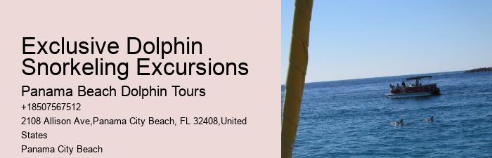 Panama City Beach Dolphin Sunset Cruise