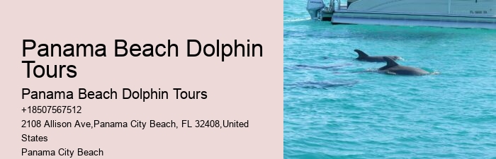 Panama City Beach dolphin viewing tours