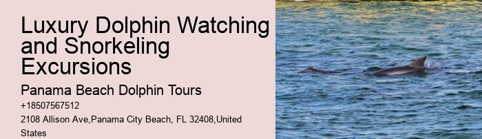 What Time Of Day Is Best For Dolphin Cruise