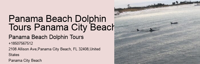 Split Boat Tours With Dolphin Watching