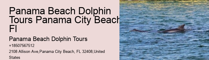 Snorkeling Safaris With Dolphin Watching In Split