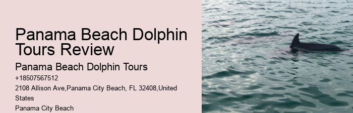 Dolphin Tour And Snorkeling Near Me