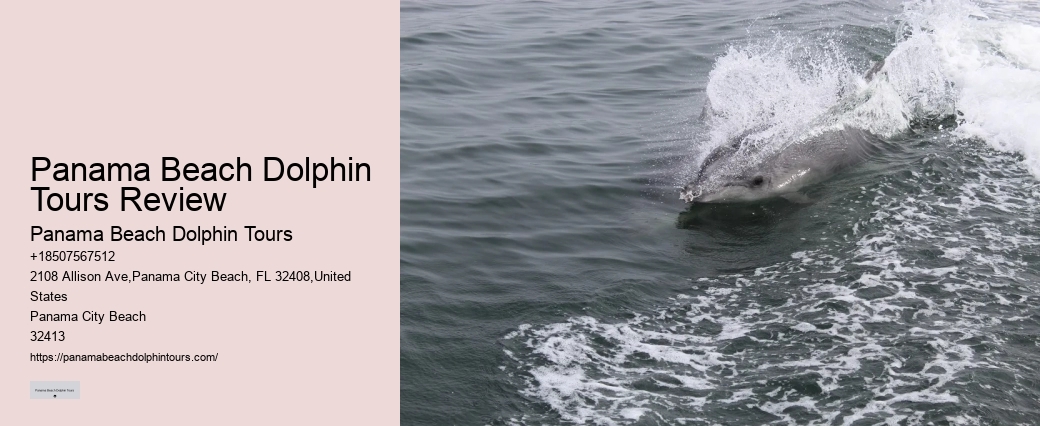 Panama City Beach Fl Dolphin Cruise