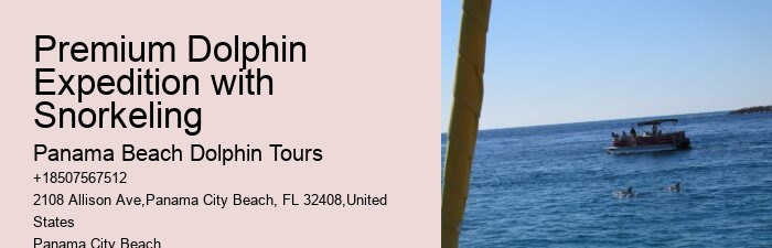 Snorkeling and Dolphin Tour