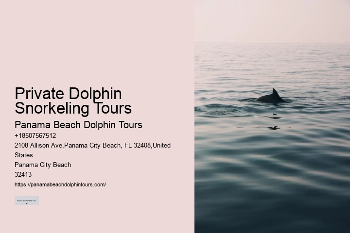 Intimate Dolphin Swim and Snorkeling