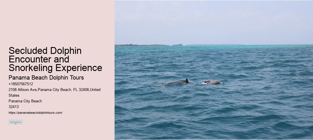 Secluded Dolphin Encounter and Snorkeling Experience