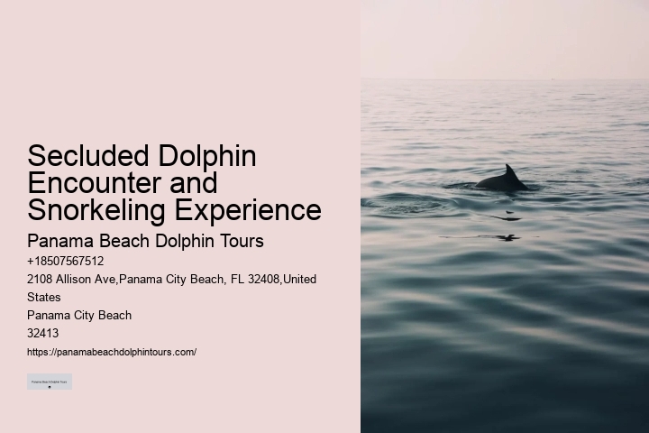 Panama City Dolphin Seafari Tours