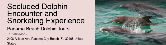 Are Panama City Beach dolphin tours educational