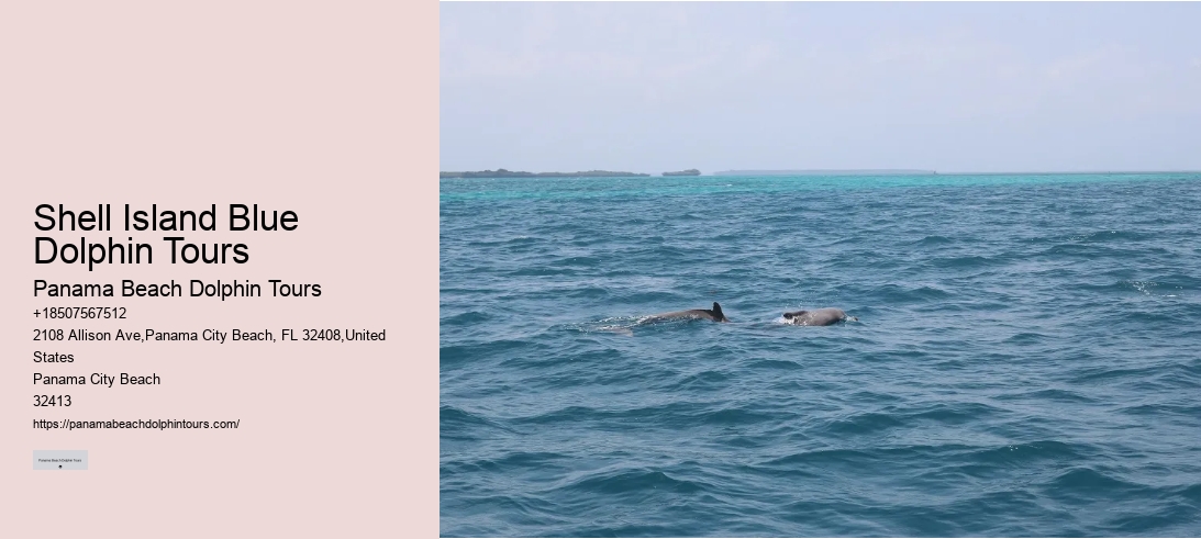 Shell Island Blue Dolphin Tours