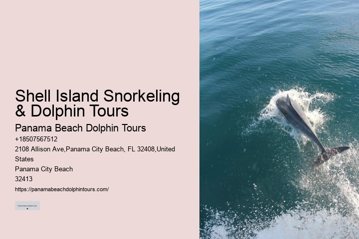 Dolphin Snorkeling