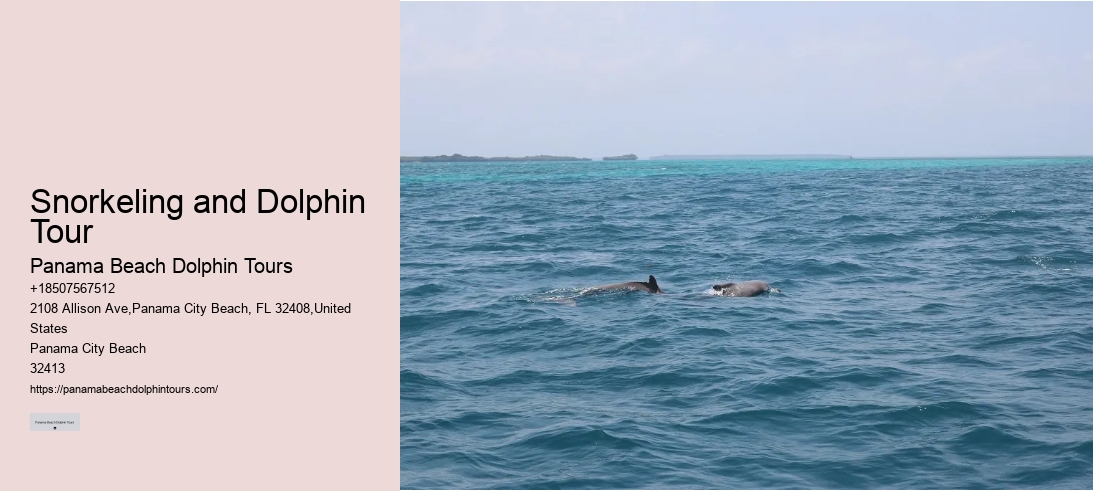 Snorkeling and Dolphin Tour