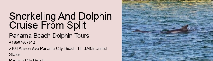Split Educational Dolphin And Snorkeling Tours