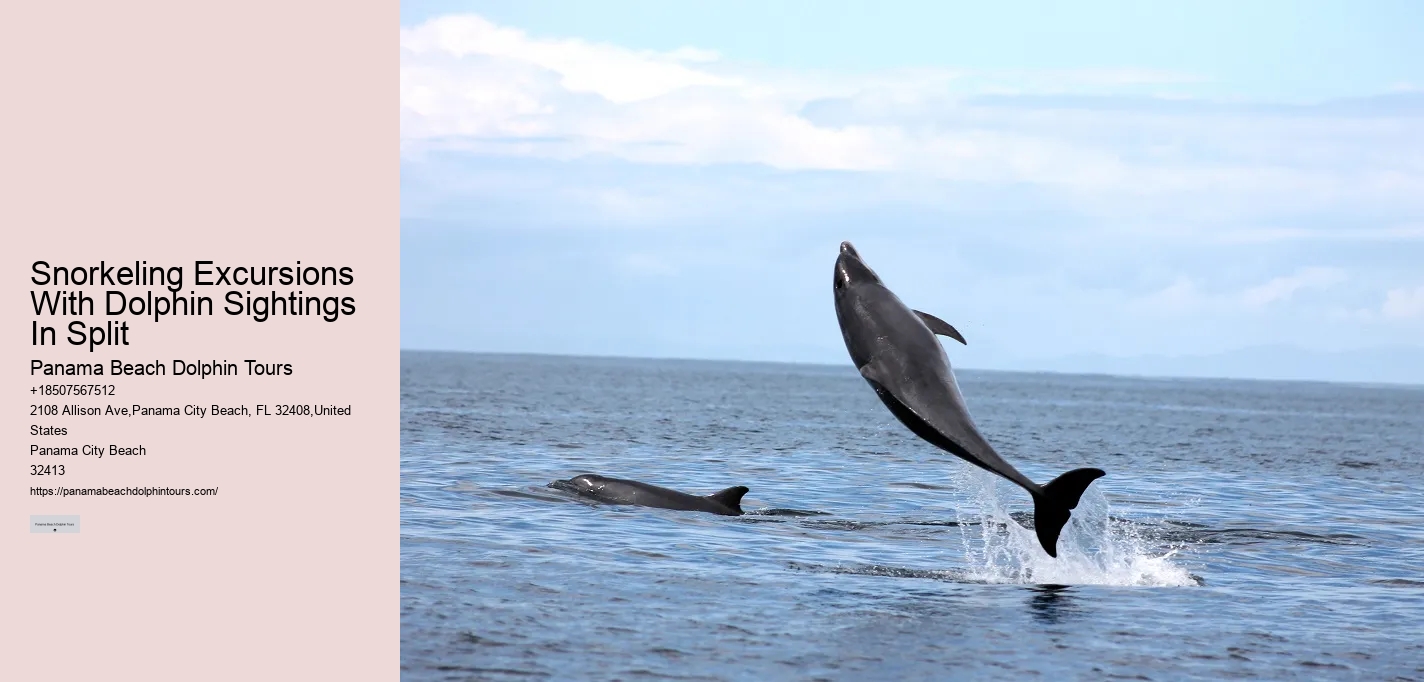 Guided dolphin tours in Panama City Beach