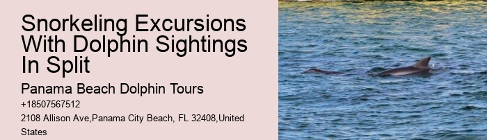 Do I need to bring my own snorkeling gear for a dolphin tour in Panama City Beach