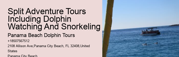 Panama City Beach Dolphin Sightseeing Trips